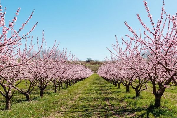 freepik__assistant__66808