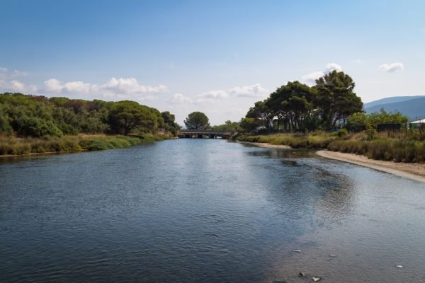 Scenic view of Tuscan landscape: water canal, grass, pine trees. Scarlino, Grosseto, Italy